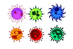 Understanding the Set of Viruses in Digital Workflows and Creative Processes